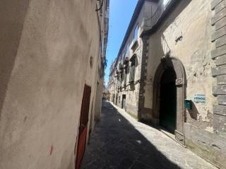 Zona