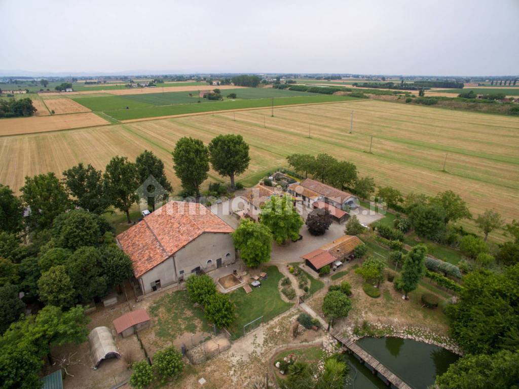 Vista