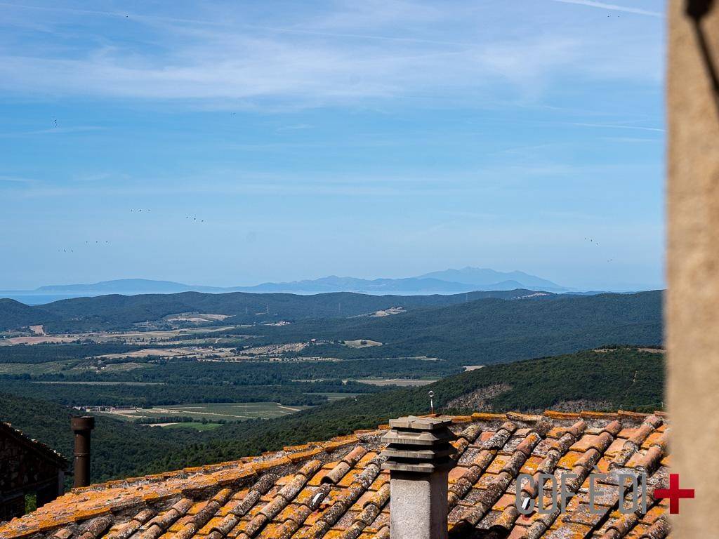Vista