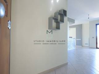 Ingresso
