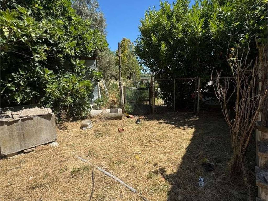 Terreno