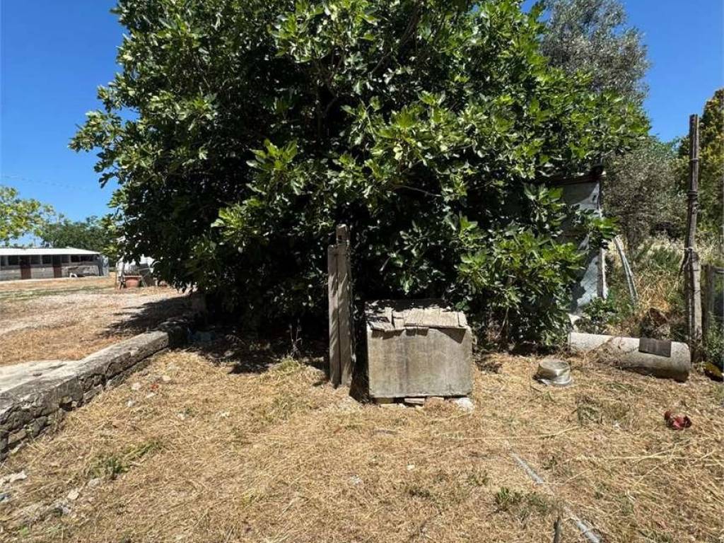 Terreno