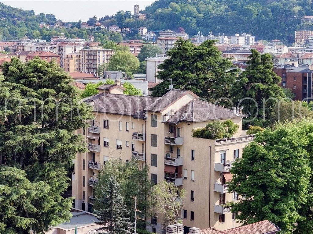 Vista