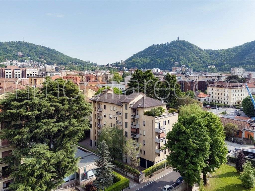 Vista