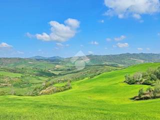 Terreno