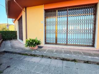 Ingresso