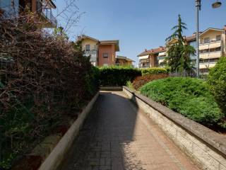 Zona