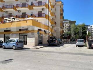 Zona