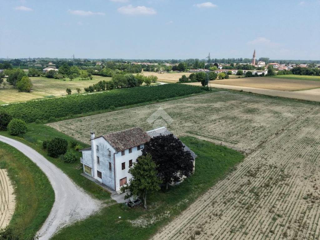 Vista