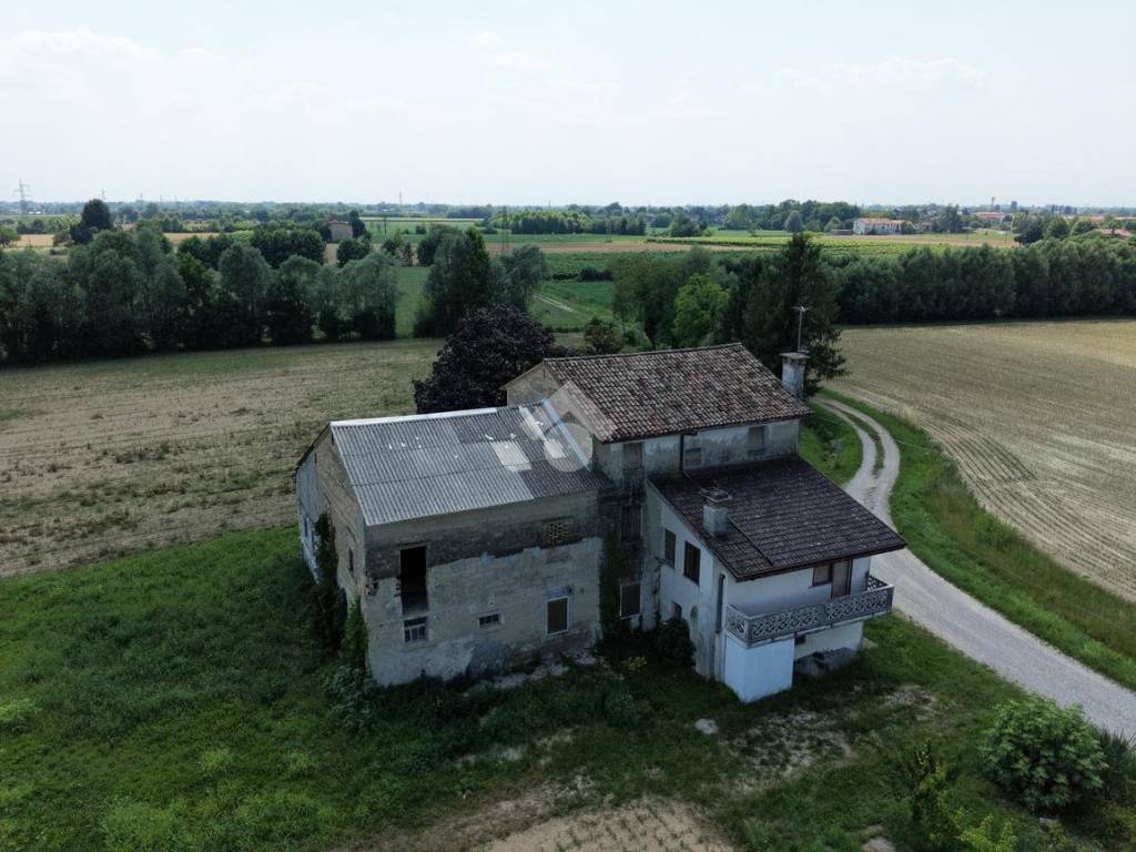 Vista