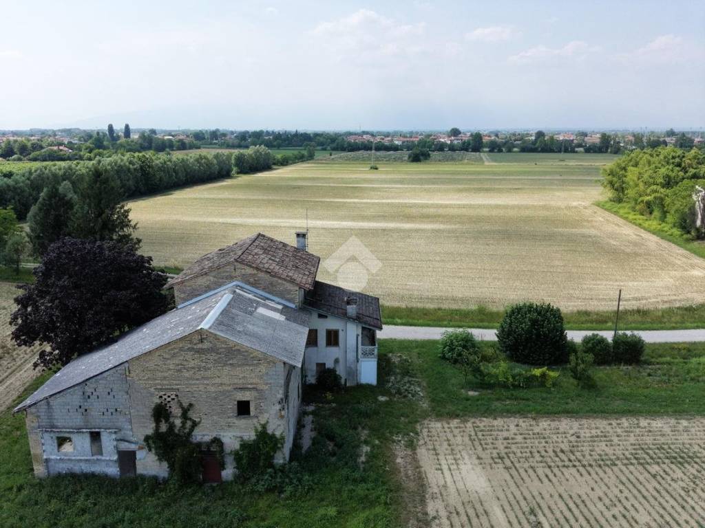 Vista