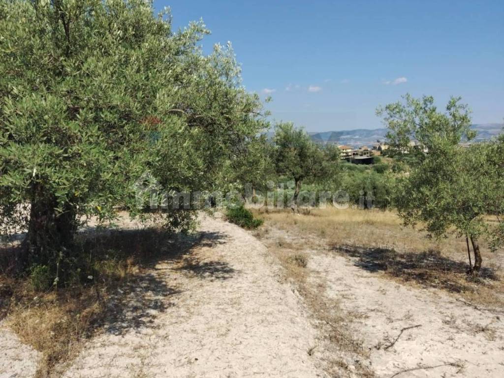 Terreno