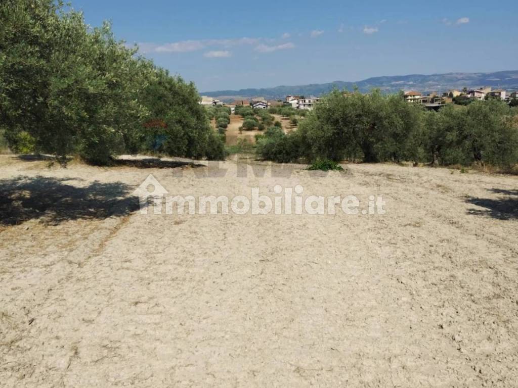 Terreno