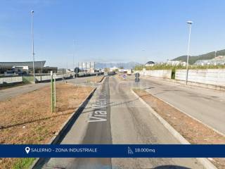 Zona