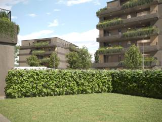 Zona