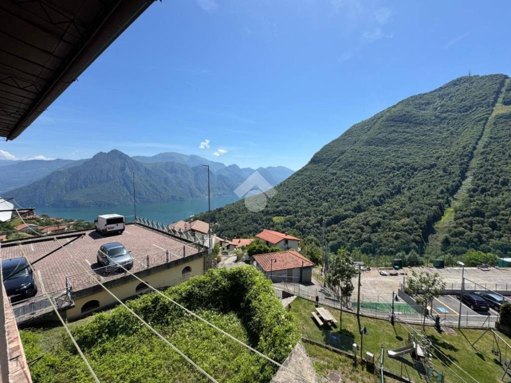 Vista