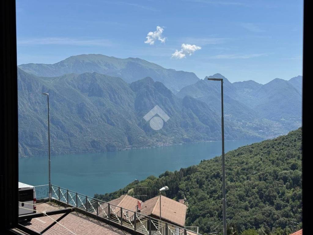 Vista