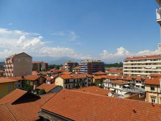 Vista