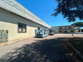 Zona