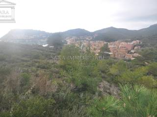 Vista