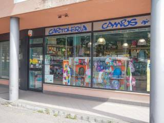 Zona