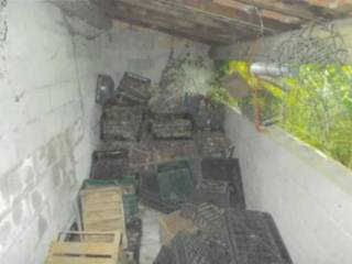 Cantina