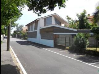 Zona
