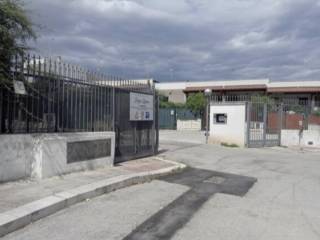 Zona