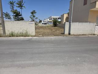 Zona
