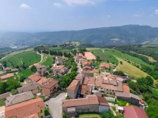 Vista