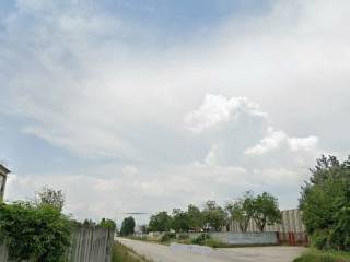 Zona