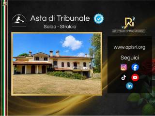 Vista