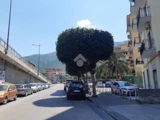 Zona