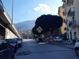 Zona