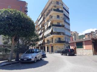 Zona