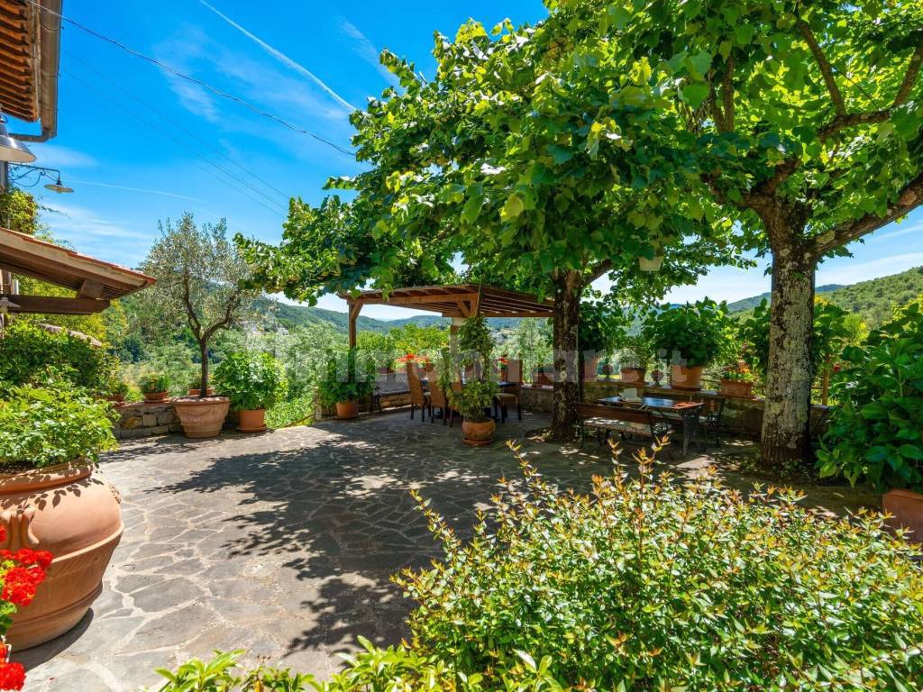 Giardino