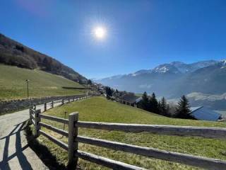 Vista