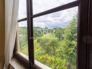 Vista