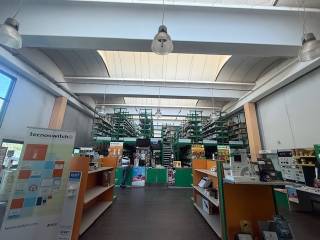 Magazzino