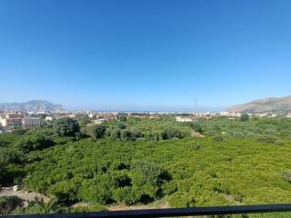Vista