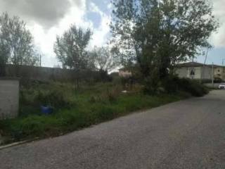 Zona