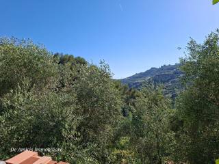 Vista