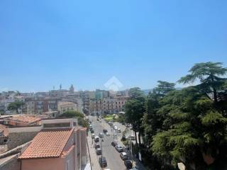 Vista