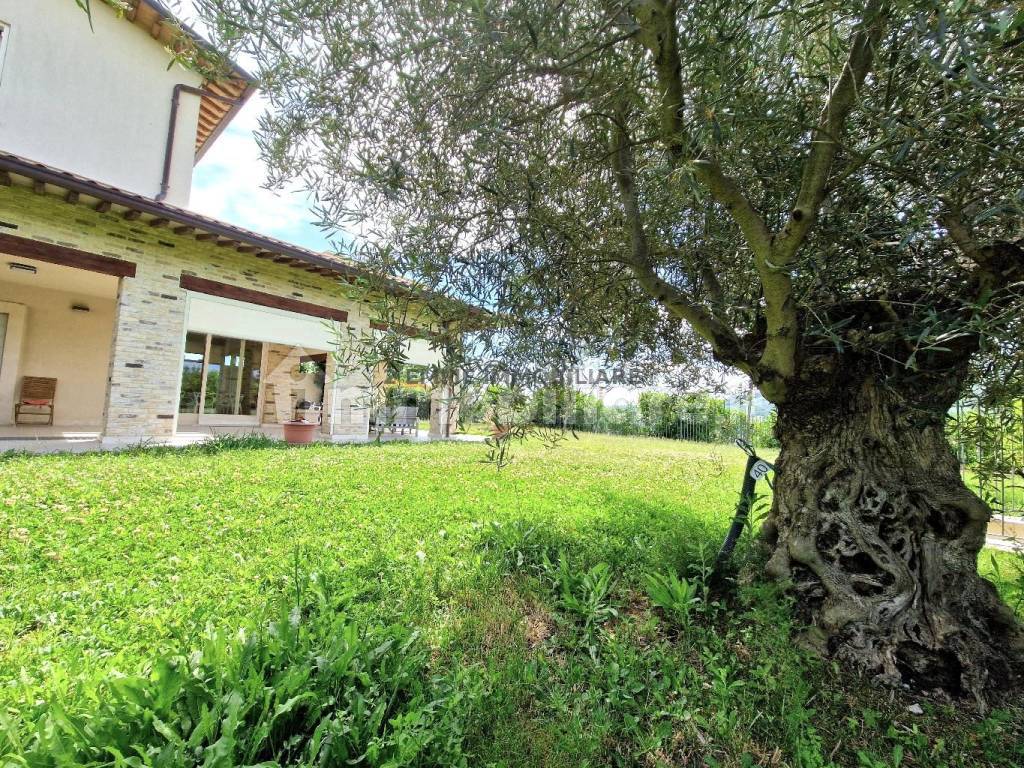 Giardino