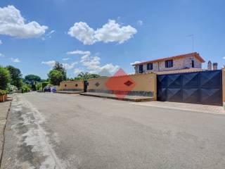 Zona