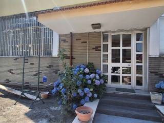 Ingresso