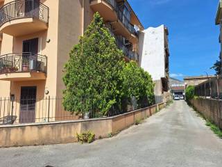 Zona