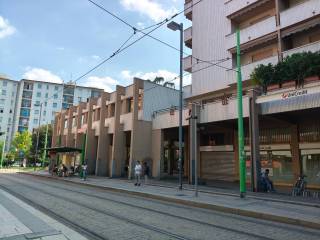 Zona