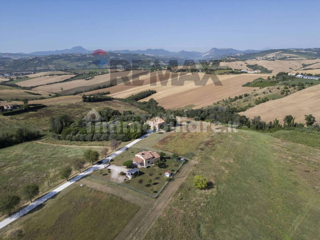 Vista