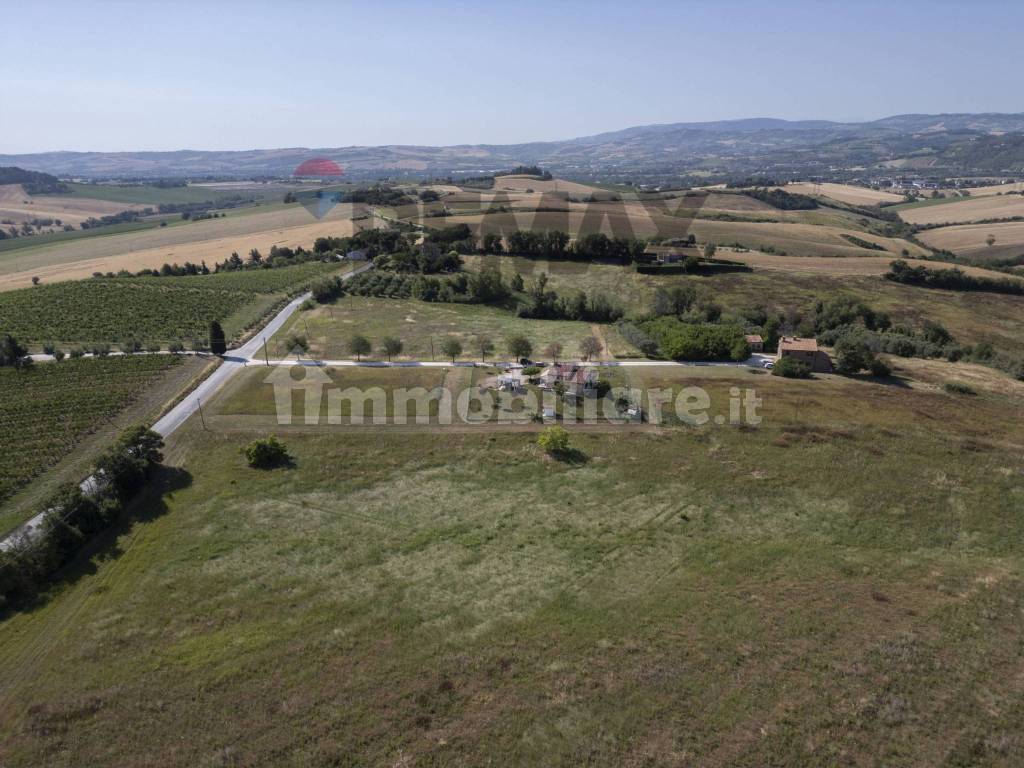 Vista